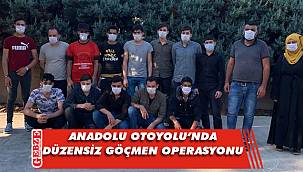 Kocaeli'nde 15 düzensiz göçmen yakalandı
