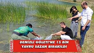 Kocaeli'nde göletlere 171 bin yavru sazan salındı