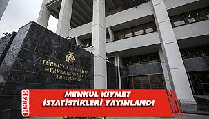 Menkul kıymet istatistikleri yayınlandı