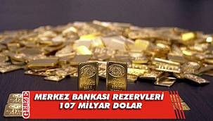Merkez bankası rezervleri 107 milyar dolar