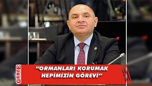 Tarhan, orman yangınlarını TBMM gündemine taşıdı