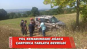 Tarlaya devrilen aracın sürücüsü yaralandı