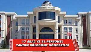 Valilikten, yangın bölgesi hakkında açıklama