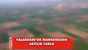 Yalakdere'de 3 bin 737 metrekare tarla mahkemeden satılık