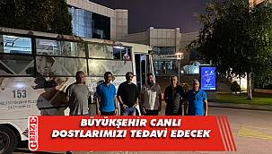 Yangından etkilenen hayvanları Büyükşehir tedavi edecek