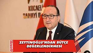 Zeytinoğlu, bütçe hakkında konuştu