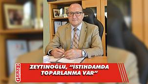 Zeytinoğlu, işgücü verilerini değerlendirdi