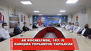 AK Kocaeli, 107'inci il danışma meclisine doğru 