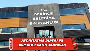 Aydınlatma direği ve armatür satın alınacak