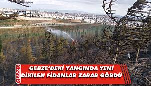 Beylik Dağı'nda korkutan yangın