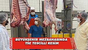 Büyükşehir Mezbahasında TSE tescilli kesim