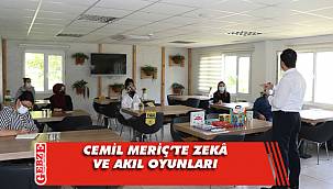 Cemil Meriç'te zekâ ve akıl oyunları