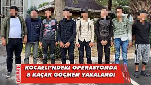 Durdurulan araçtan 8 kaçak göçmen çıktı