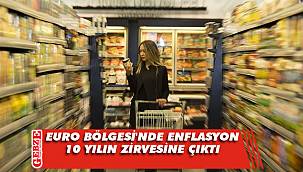 Euro Bölgesi'nde enflasyon 10 yılın zirvesine çıktı