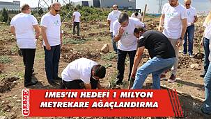 İMES Dilovası OSB, yeşile gönül verdi