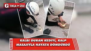 Kalbi duran kediyi hayata döndürdü