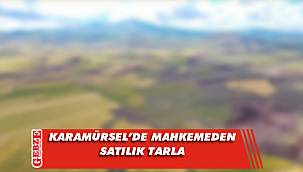 Karamürsel’deki tarla mahkemeden satılık