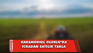 Karamürsel Oluklu’da icradan satılık tarla