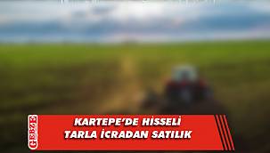 Kartepe'de hisseli tarla icradan satılık
