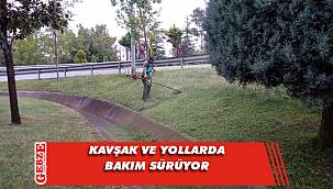 Kavşak ve yollarda ot biçimi yapılıyor
