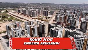 Konut fiyat endeksi 2.7 arttı