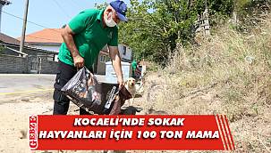 Sokak hayvanlarına 100 ton mama