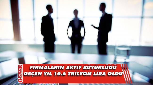 Türkiye'deki firmaların aktif büyüklüğü geçen yıl 10.6 trilyon lira oldu