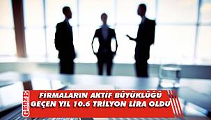 Türkiye'deki firmaların aktif büyüklüğü geçen yıl 10.6 trilyon lira oldu