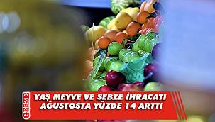 Türkiye'nin yaş meyve ve sebze ihracatı arttı