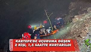 UTV ile 30 metrelik uçuruma düştüler