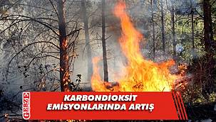 Yangınlar nedeniyle karbondioksit emisyonlarında artış
