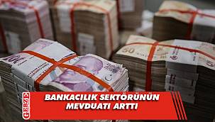 Bankacılık sektörünün mevduatı arttı