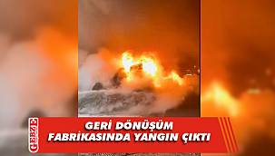 Başiskele'de fabrika yangını