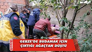 Budamak için çıktığı ağaçtan düştü