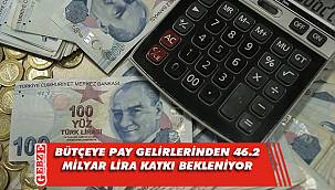 Bütçeye pay gelirlerinden 46.2 milyar lira katkı bekleniyor