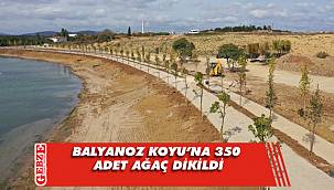 Darıca Balyanoz Koyu’nda peyzaj çalışmaları yapılıyor