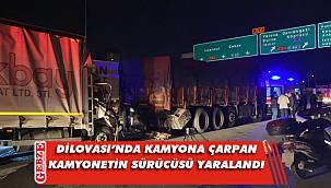 Dilovası TEM'de korkutan kaza