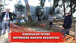 Gebze Çamlık Parkı'na çay ocağı kuruluyor