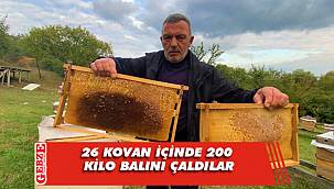 Gebze'de bal hırsızlığı