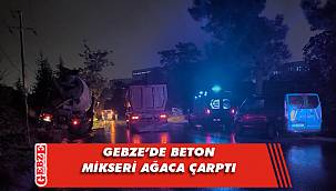 Gebze’de beton mikseri ağaca çarptı