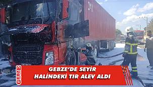 Gebze'de korkutan tır yangını