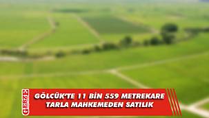 Gölcük’te 11 bin 559 metrekare tarla mahkemeden satılık