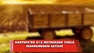 Kartepe’de 812 metrekare tarla mahkemeden satılık