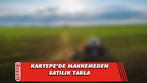 Kartepe'de mahkemeden satılık tarla