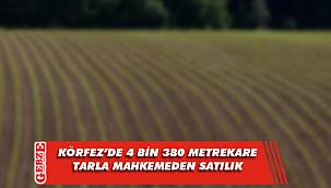 Körfez’de 4 bin 380 metrekare tarla mahkemeden satılık