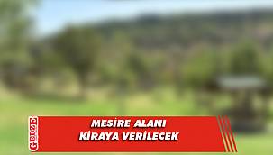 Mesire alanı kiraya verilecek