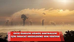 OECD ülkeleri kömür santralleri için ihracat kredilerine son veriyor