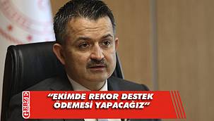 Pakdemirli'den rekor destek açıklaması