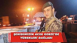 Şehidimiz Doğan, MHP'li Dolaş'ın akrabasıydı