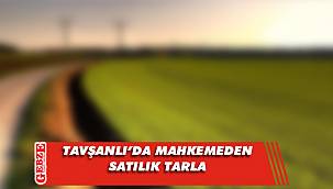 Tavşanlı’da bin 791 metrekare tarla mahkemeden satılık